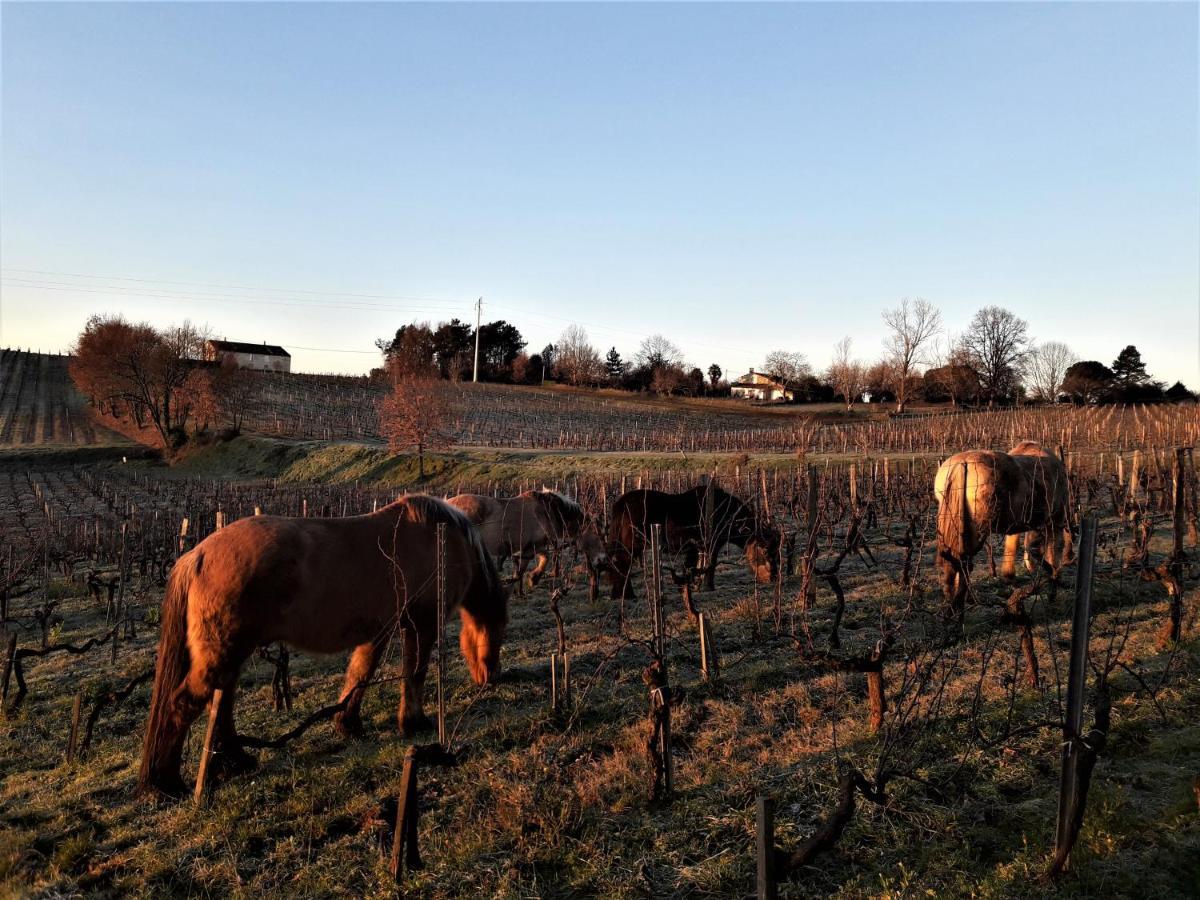 Chateau De La Grave Bed & Breakfast