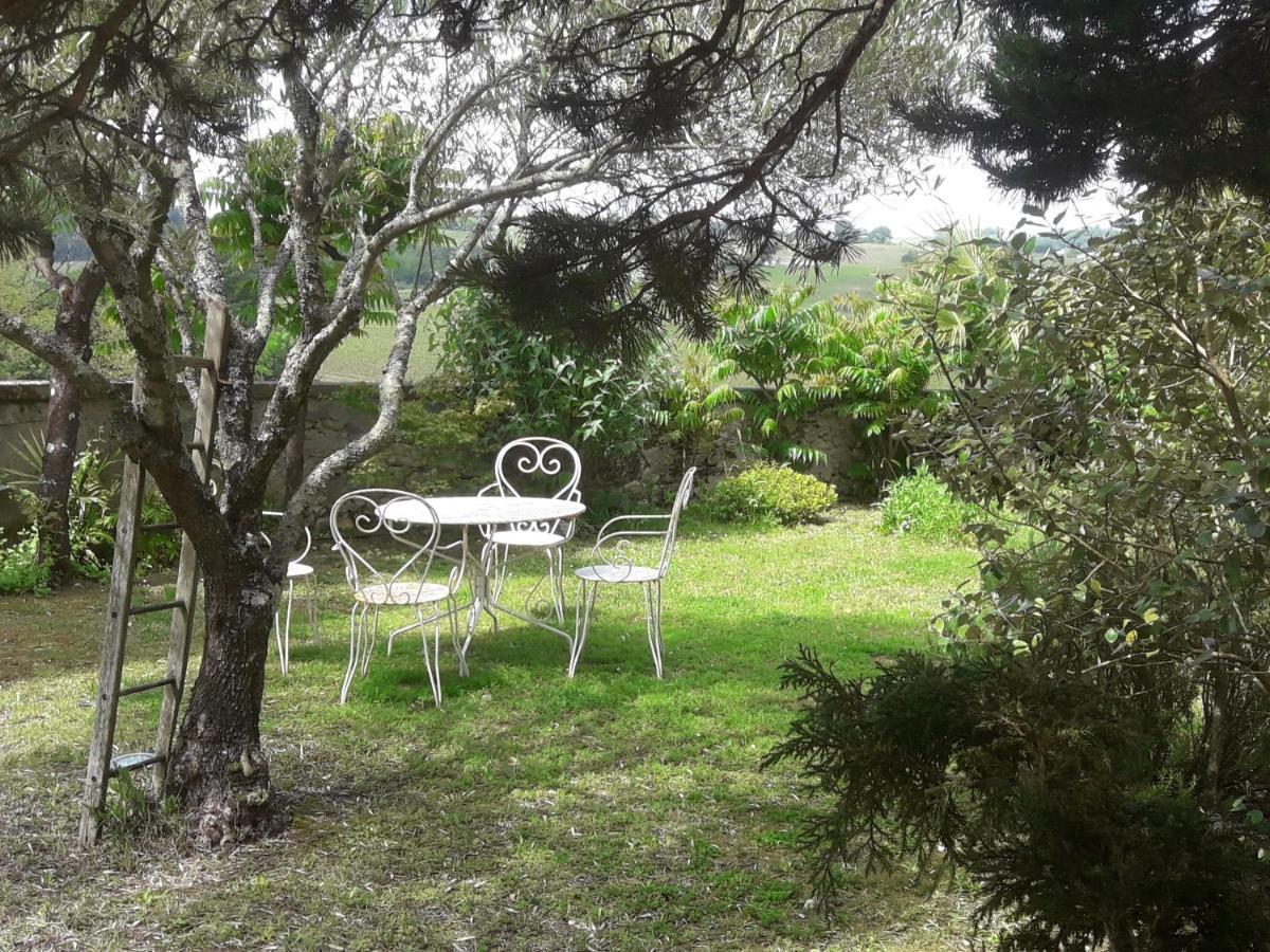 Bed & Breakfast Chateau De La Grave